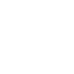 THE THREE STORE